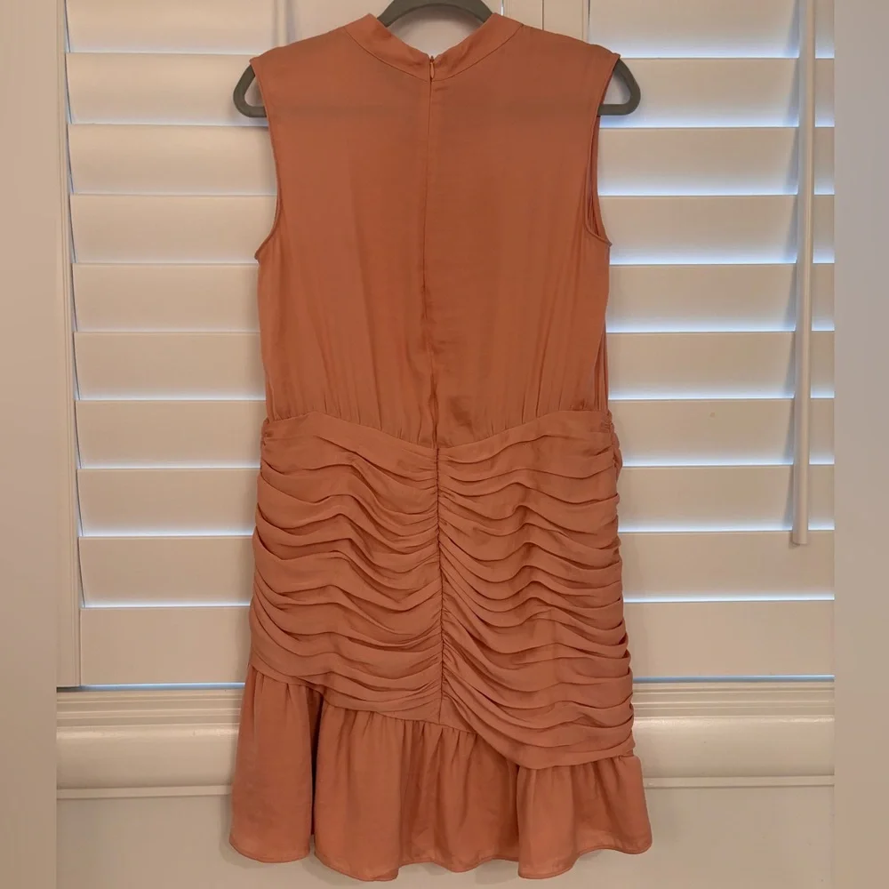 Naked Zebra Peach Ruched Mini Dress - Picture 5 of 8